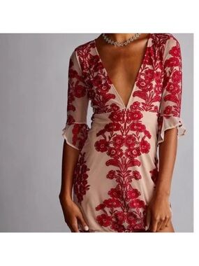 For Love & Lemons Temecula Mesh Dress with Red Floral Appliqué